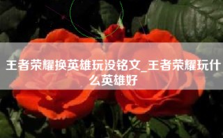 王者荣耀换英雄玩没铭文_王者荣耀玩什么英雄好