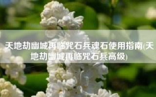天地劫幽城再临咒石兵魂石使用指南(天地劫幽城再临咒石兵高级)