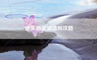 迷失超灵清洁剂攻略