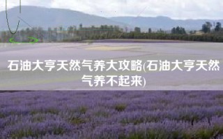 石油大亨天然气养大攻略(石油大亨天然气养不起来)