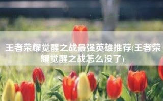 王者荣耀觉醒之战最强英雄推荐(王者荣耀觉醒之战怎么没了)