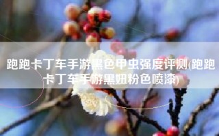 跑跑卡丁车手游黑色甲虫强度评测(跑跑卡丁车手游黑妞粉色喷漆)