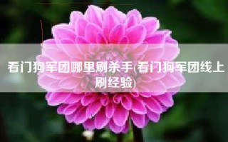 看门狗军团哪里刷杀手(看门狗军团线上刷经验)