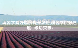魂器学院好感度提升攻略(魂器学院好感度10级后突破)