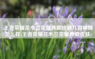 王者荣耀花木兰荣耀典藏皮肤九霄神辉怎么样(王者荣耀花木兰荣耀典藏皮肤)