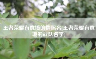 王者荣耀有意境的情侣名(王者荣耀有意境的战队名字)