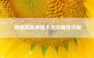神俑降临神翼大全及属性详解