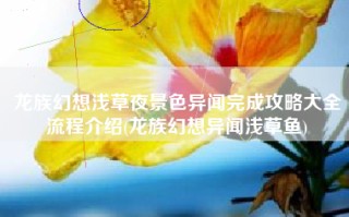 龙族幻想浅草夜景色异闻完成攻略大全流程介绍(龙族幻想异闻浅草鱼)
