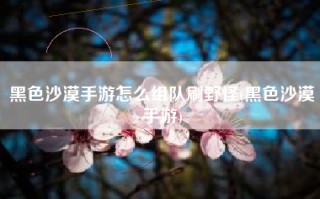 黑色沙漠手游怎么组队刷野怪(黑色沙漠手游)