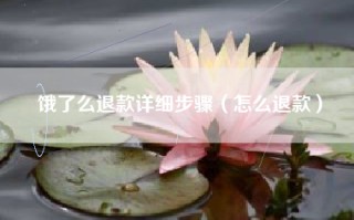 饿了么退款详细步骤（怎么退款）