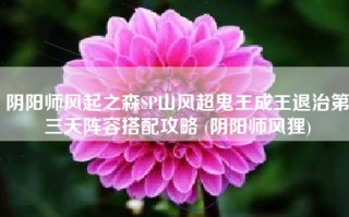 阴阳师风起之森SP山风超鬼王成王退治第三天阵容搭配攻略 (阴阳师风狸)