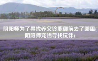 阴阳师为了寻找养父铃鹿御前去了哪里(阴阳师宠物寻找玩伴)