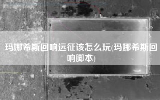 玛娜希斯回响远征该怎么玩(玛娜希斯回响脚本)