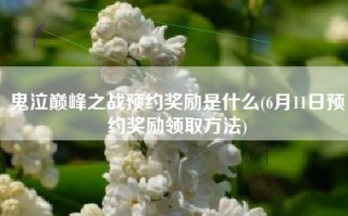 鬼泣巅峰之战预约奖励是什么(6月11日预约奖励领取方法)
