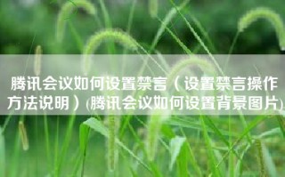 腾讯会议如何设置禁言（设置禁言操作方法说明）(腾讯会议如何设置背景图片)