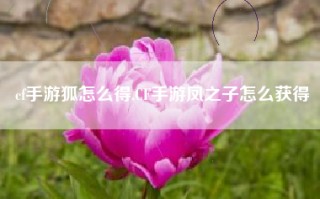 cf手游狐怎么得,CF手游凤之子怎么获得
