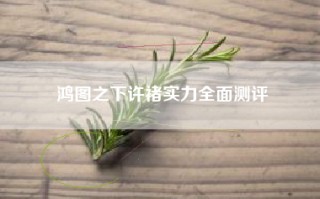 鸿图之下许褚实力全面测评