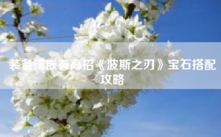 装备镶嵌有高招《波斯之刃》宝石搭配攻略