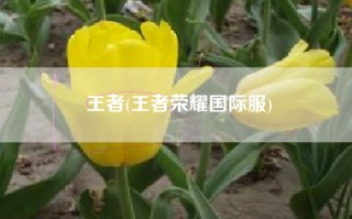 王者(王者荣耀国际服)