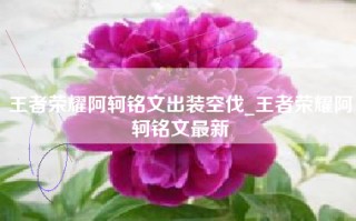 王者荣耀阿轲铭文出装空伐_王者荣耀阿轲铭文最新