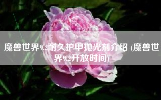 魔兽世界9.2耐久护甲抛光剂介绍 (魔兽世界9.2开放时间)