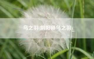 鸟之羽(阴阳师鸟之羽)