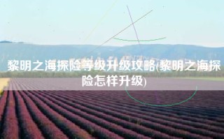 黎明之海探险等级升级攻略(黎明之海探险怎样升级)