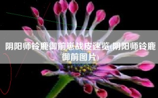 阴阳师铃鹿御前崽战皮速览(阴阳师铃鹿御前图片)