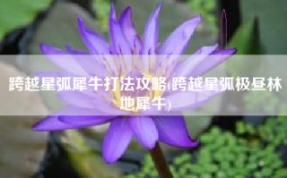 跨越星弧犀牛打法攻略(跨越星弧极昼林地犀牛)