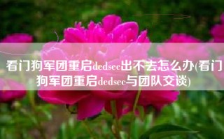 看门狗军团重启dedsec出不去怎么办(看门狗军团重启dedsec与团队交谈)