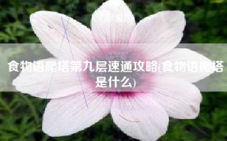 食物语爬塔第九层速通攻略(食物语爬塔是什么)