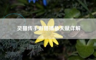 灵猫传手游猫捕鱼天赋详解