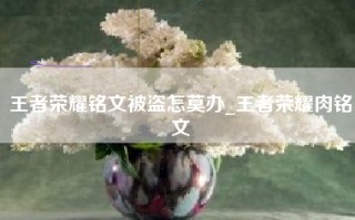 王者荣耀铭文被盗怎莫办_王者荣耀肉铭文