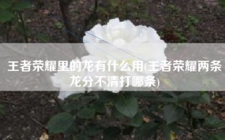 王者荣耀里的龙有什么用(王者荣耀两条龙分不清打哪条)