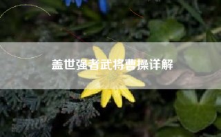 盖世强者武将曹操详解