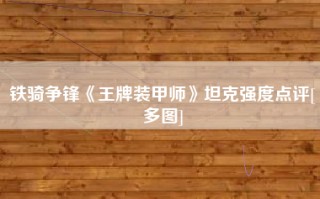铁骑争锋《王牌装甲师》坦克强度点评[多图]