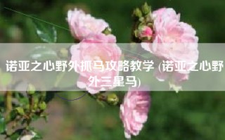 诺亚之心野外抓马攻略教学 (诺亚之心野外三星马)