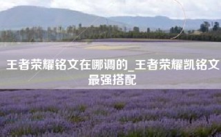 王者荣耀铭文在哪调的_王者荣耀凯铭文最强搭配