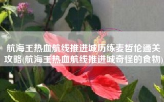 航海王热血航线推进城历练麦哲伦通关攻略(航海王热血航线推进城奇怪的食物)