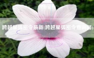 跨越星弧密令最新(跨越星弧密令查询器)