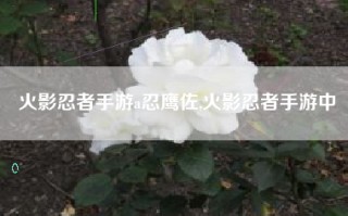 火影忍者手游a忍鹰佐,火影忍者手游中