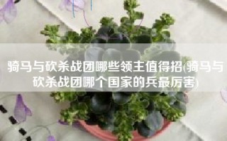 骑马与砍杀战团哪些领主值得招(骑马与砍杀战团哪个国家的兵最厉害)