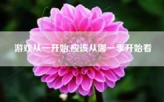 游戏从一开始,应该从哪一季开始看