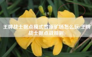王牌战士据点模式雪原矿场怎么玩(王牌战士据点战规则)