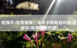 纸嫁衣3鸳鸯债第三章风水局解谜攻略(纸嫁衣3鸳鸯债第四章)