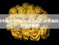 奶牛镇的小时光119层怎么打(奶牛镇的小时光破解版)