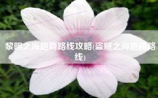 黎明之海跑商路线攻略(盗贼之海跑商路线)