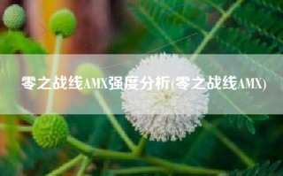 零之战线AMX强度分析(零之战线AMX)