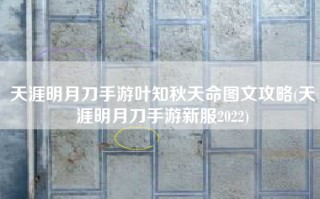 天涯明月刀手游叶知秋天命图文攻略(天涯明月刀手游新服2022)
