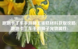 跑跑卡丁车手游狮王蛋糕材料获取攻略(跑跑卡丁车手游狮子宠物属性)